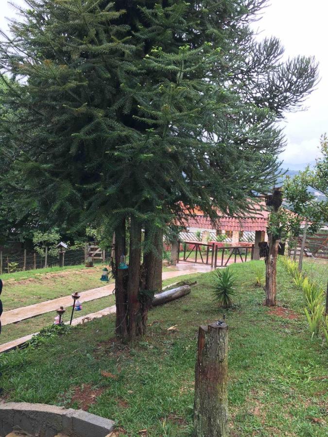 Casa De Campo Em Monte Verde , Linda Vista Para Montanhas Dış mekan fotoğraf